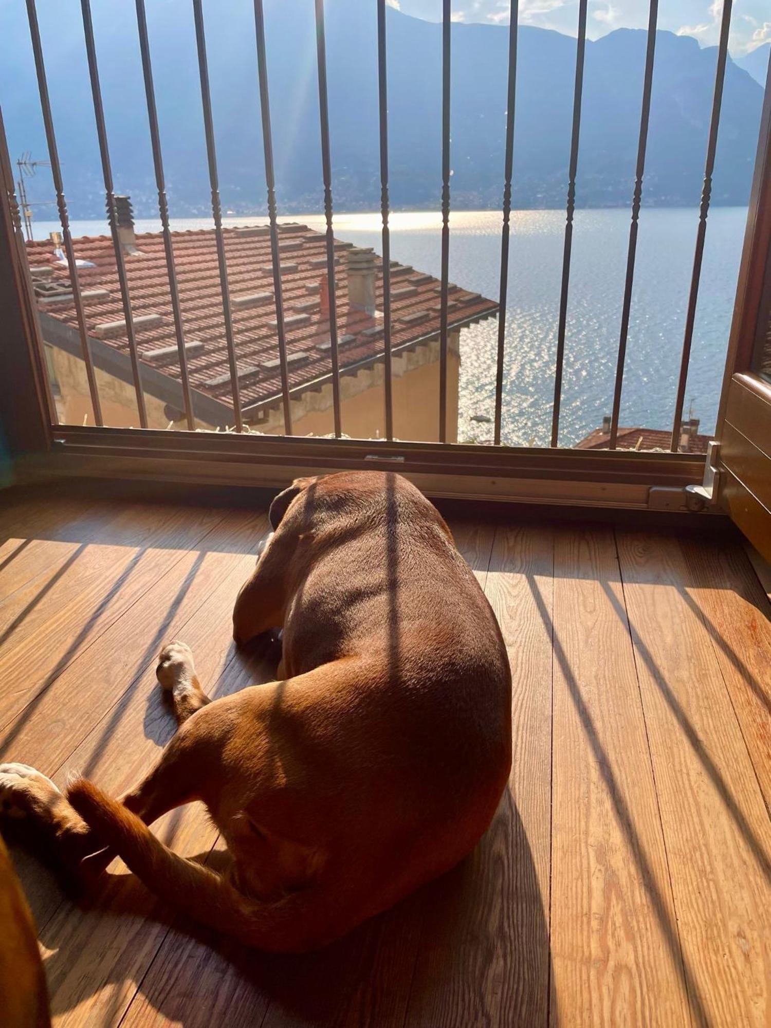Bernhouse Villa Dorio Dış mekan fotoğraf